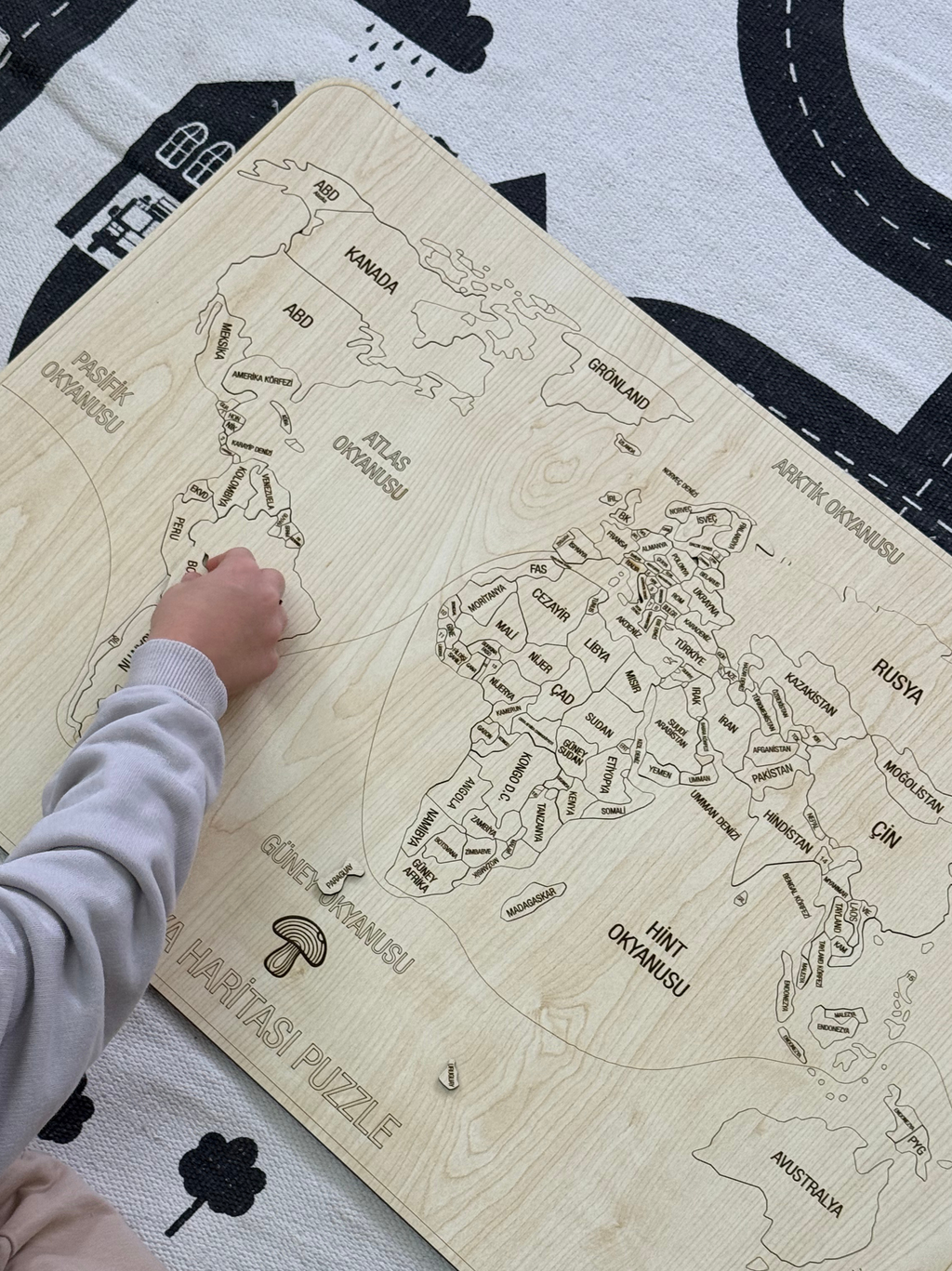 Dünya Xəritəsi Puzzle