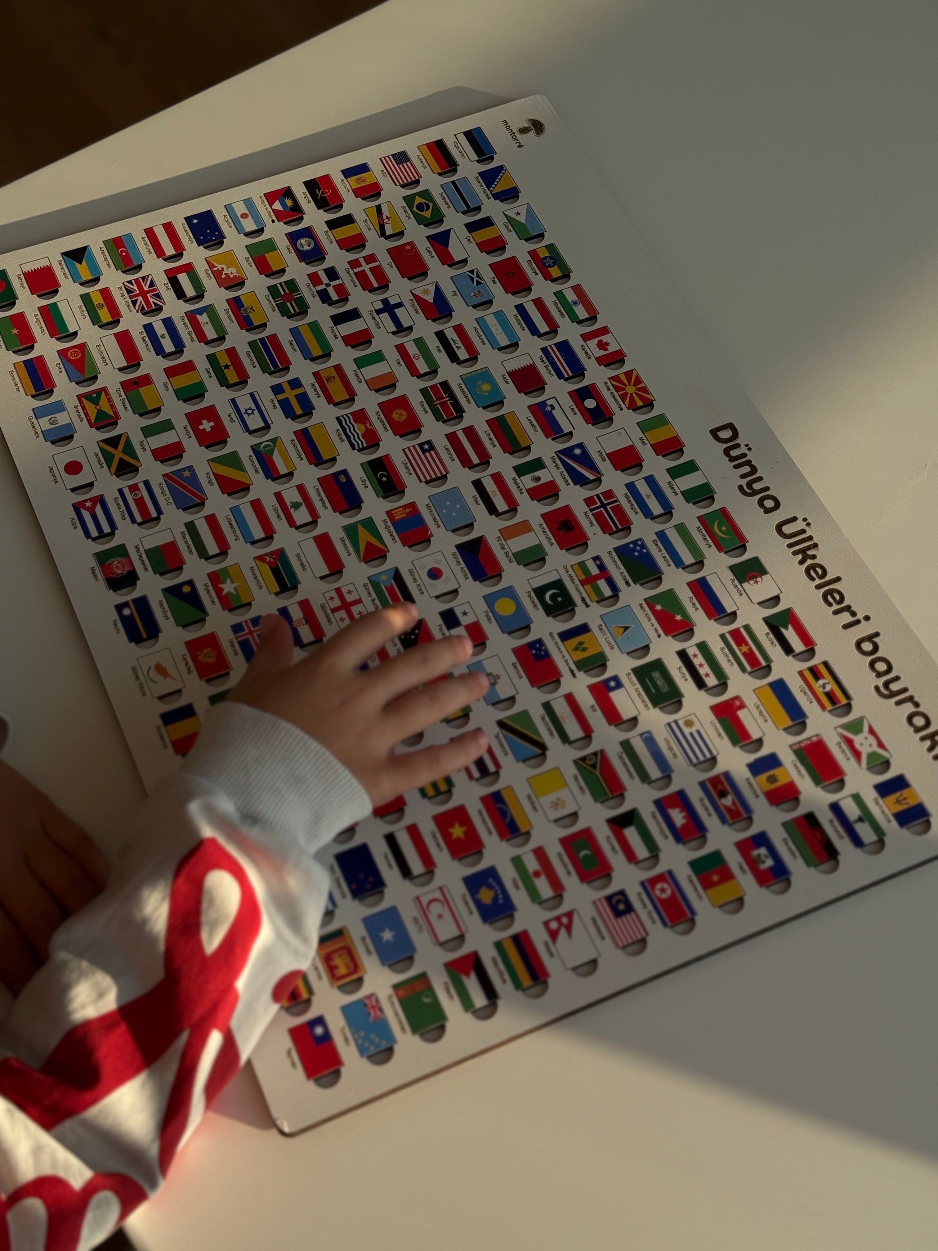 Ölkə Bayraqları Puzzle