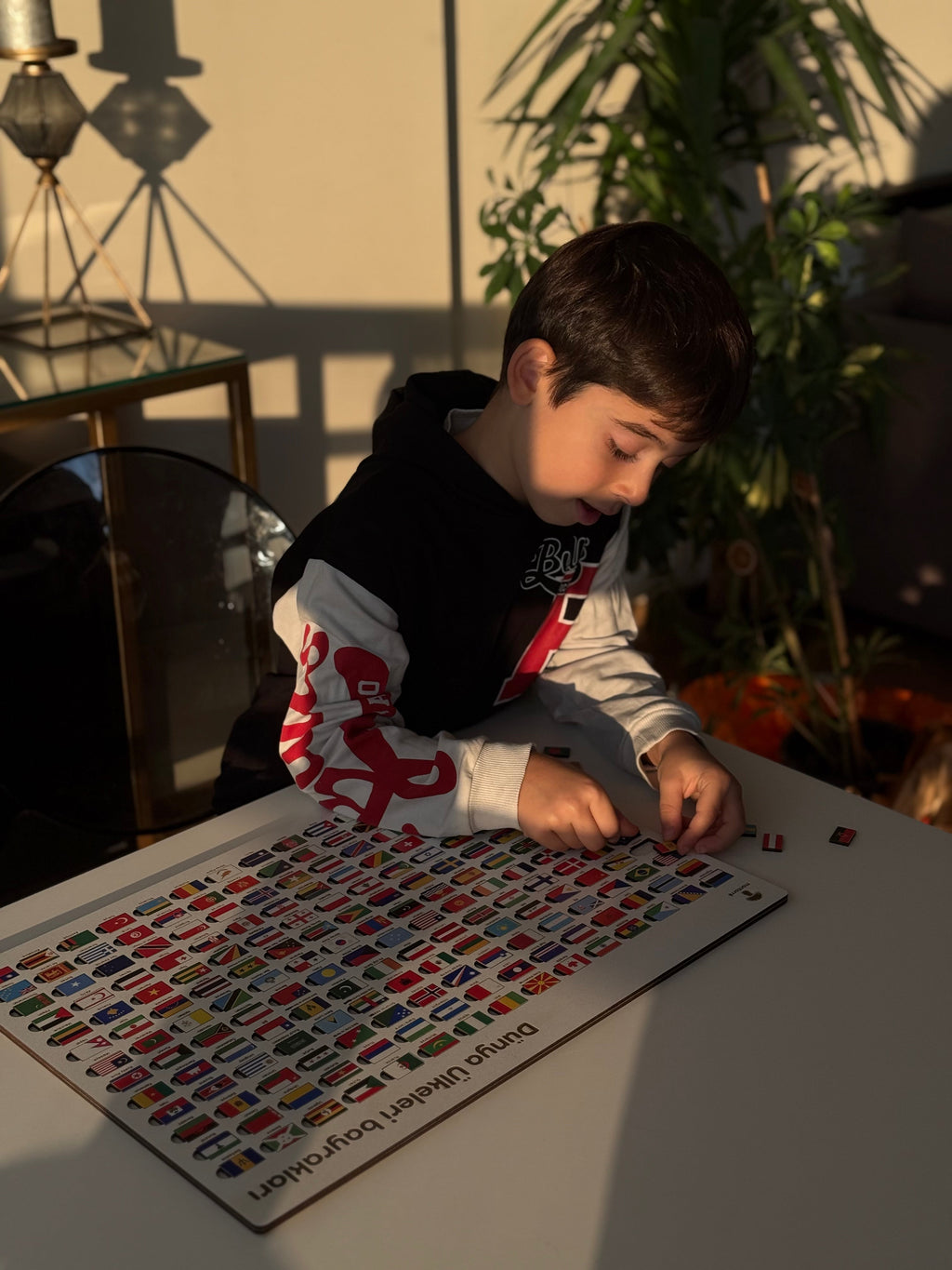 Ölkə Bayraqları Puzzle