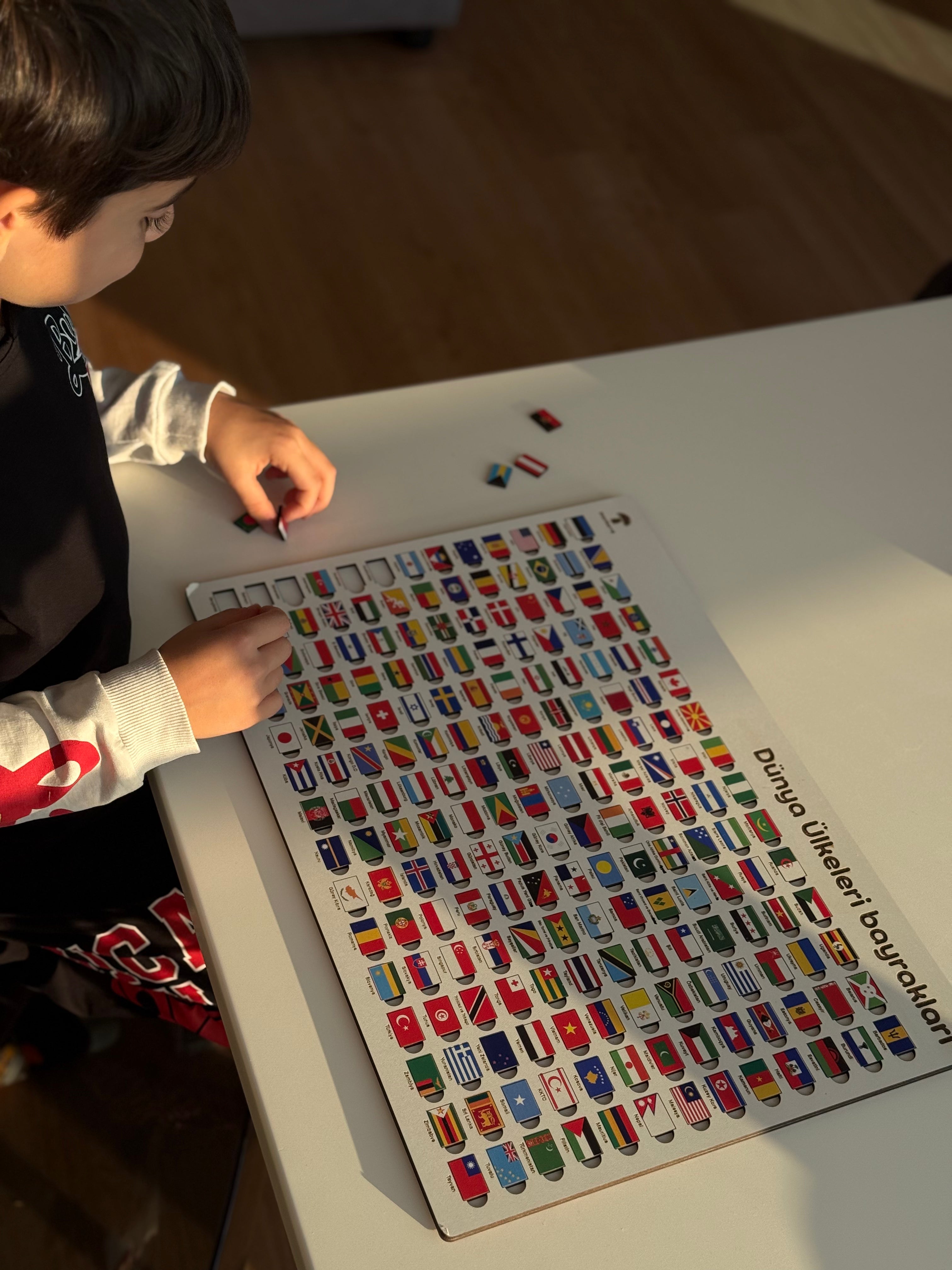 Ölkə Bayraqları Puzzle