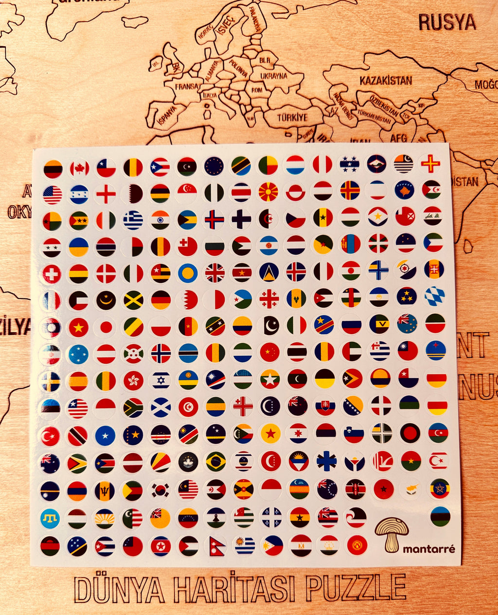 Dünya Xəritəsi Puzzle